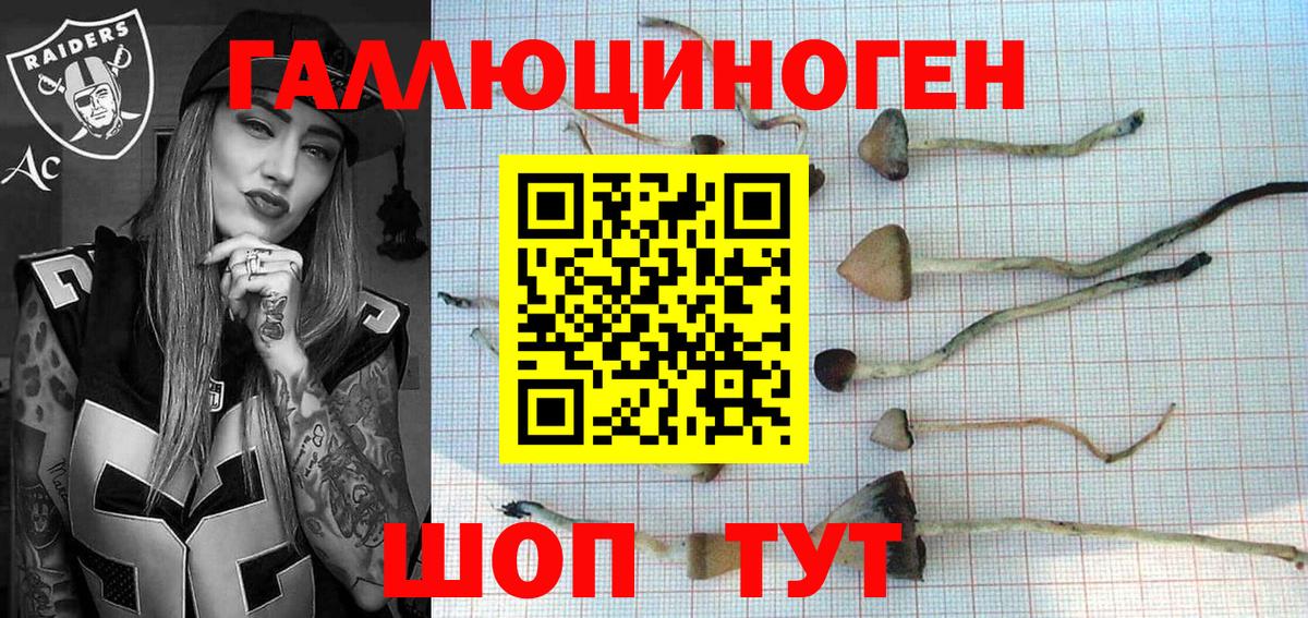 Кувандык  Псилоцибиновые грибы ЛСД  Вход с VPN 